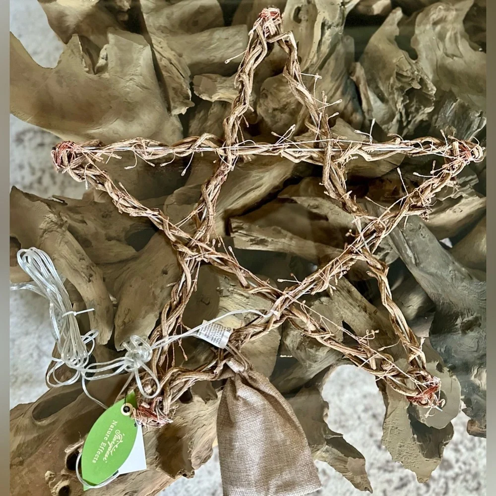 RARE TERRAIN NWT Stargazer Illuminated LED Vine Star